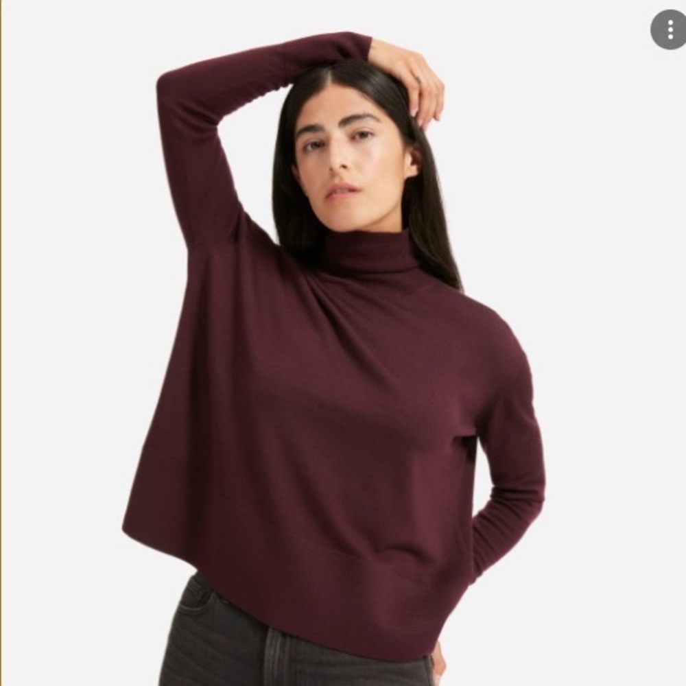 Everlane Luxe Wool Square Turtleneck Sweater, L